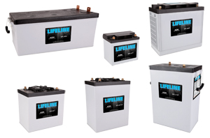 Sample Lifeline Battery Product Line